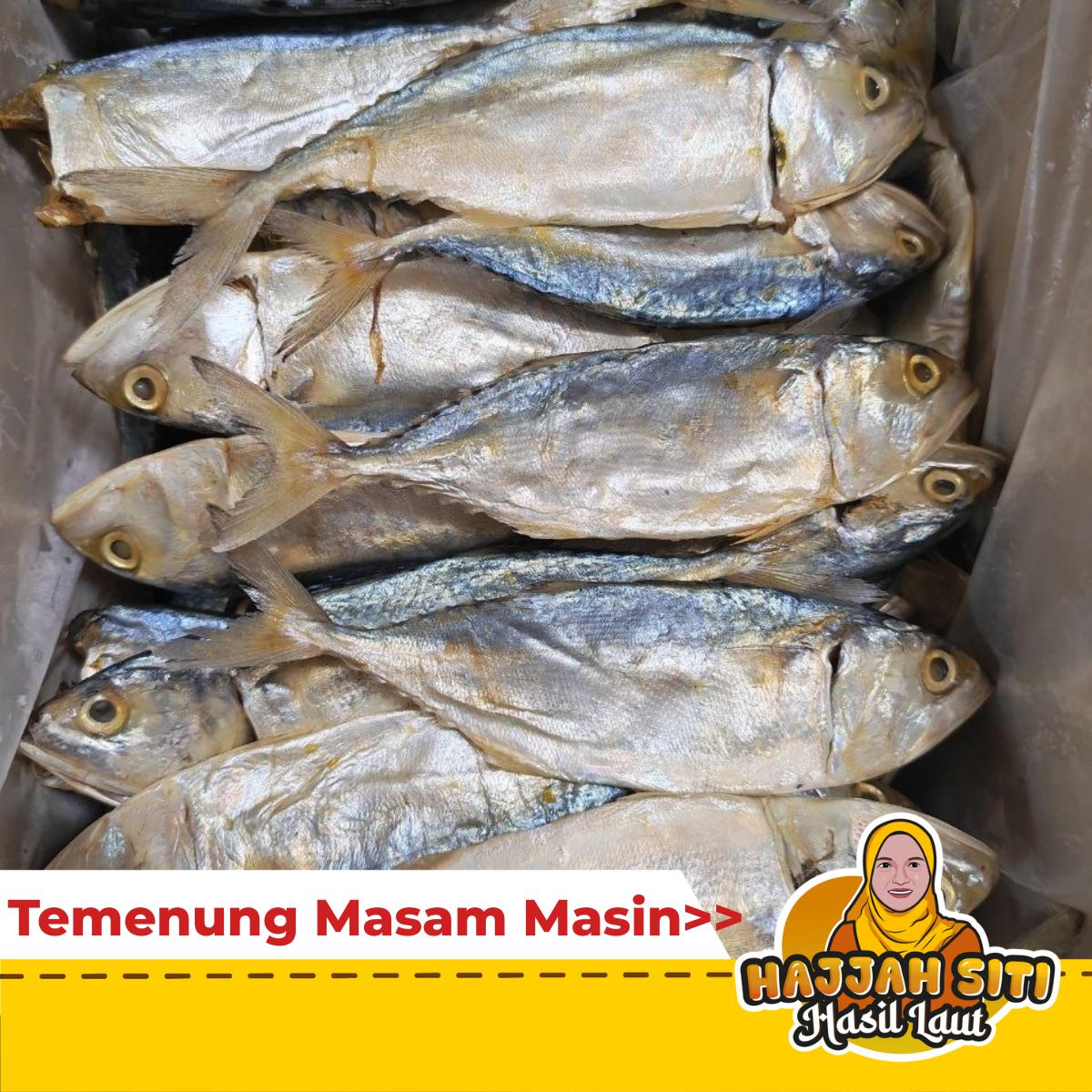 Temenung Masam Masin | Siap Buang Perut | Saiz Kecil ke Sedang — Product image