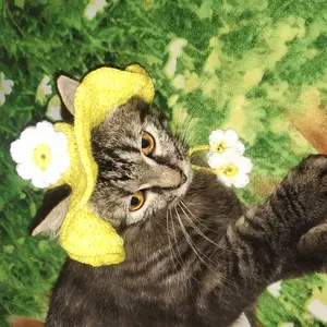 TULUNGAGUNG Topi Kucing Rajut Motif Handmade   Termurah dan Unik crochet lucu  cat