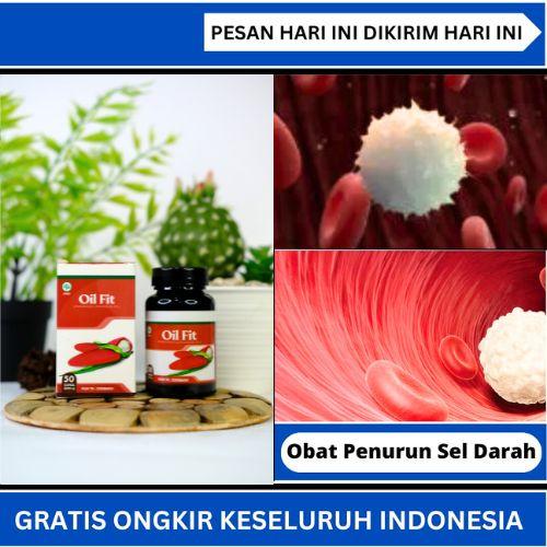 Solusi Penyakit Leukosit, Darah Putih Berlebih, Leukosit Tinggi, Leukemia, Kanker Darah, Sakit Kepala, Kelebihan Sel Darah Putih, Penambah Sel Darah Merah, Leukositis Demam, Infeksi Sel Darah Putih De