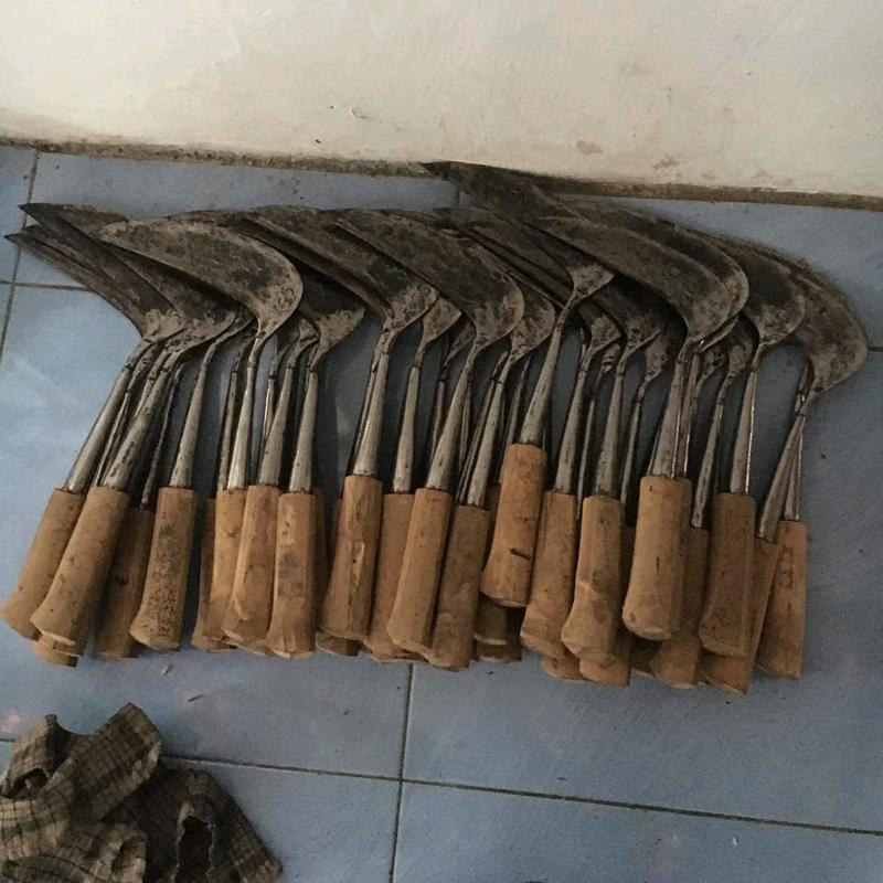 Potong Rumput  Tajam untuk Pertanian 1