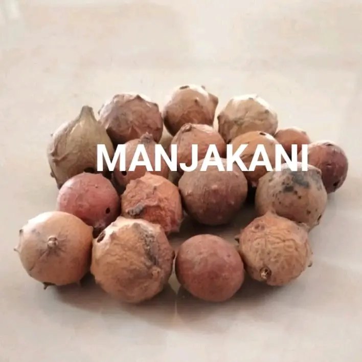 Tempuyang Kayu Rapet dan Majakani/paket 3 in 1 berat 150 gram Tea 3