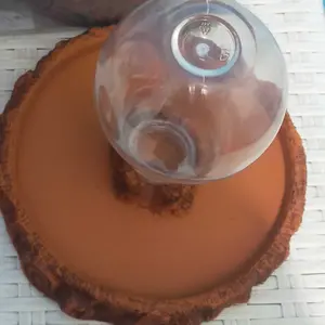 WD030A WATERDISH CEPER WATER DISH DISPENSER TEMPAT MINUM OTOMATIS REPTILE BD BEARDED DRAGON REPTILE ULAR TORTOISE SULCATA KADAL TEGU BIAWAK CROCODILE SKINK PERLENGKAPAN AKUARIUM TERRARIUM REPTIL