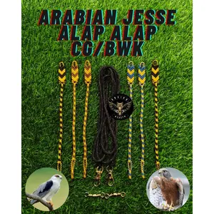 set angklet arabian jasse alap alap bwk/ alap alap cg