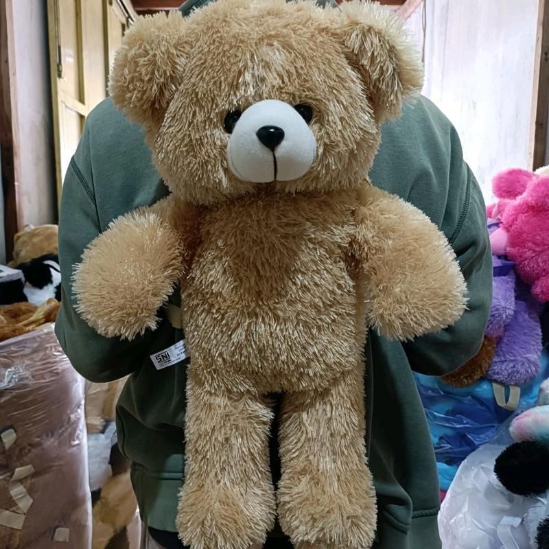 Tas Teddy Bear Ransel Tas boneka Teddybear Beruang anak Lucu 2