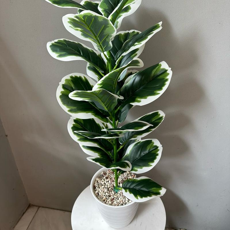 TANAMAN ARTIFICIAL KETAPANG  PUTIH 23DAUN(sudah+pot) 8