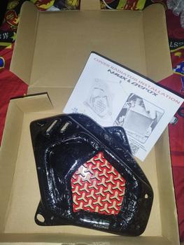 Product Review of Cover Radiator Yamaha Nmax new,  Aerox new,  Nmax NEO , Lexi 155  Penutup Radiator Exie Art from k**g 0