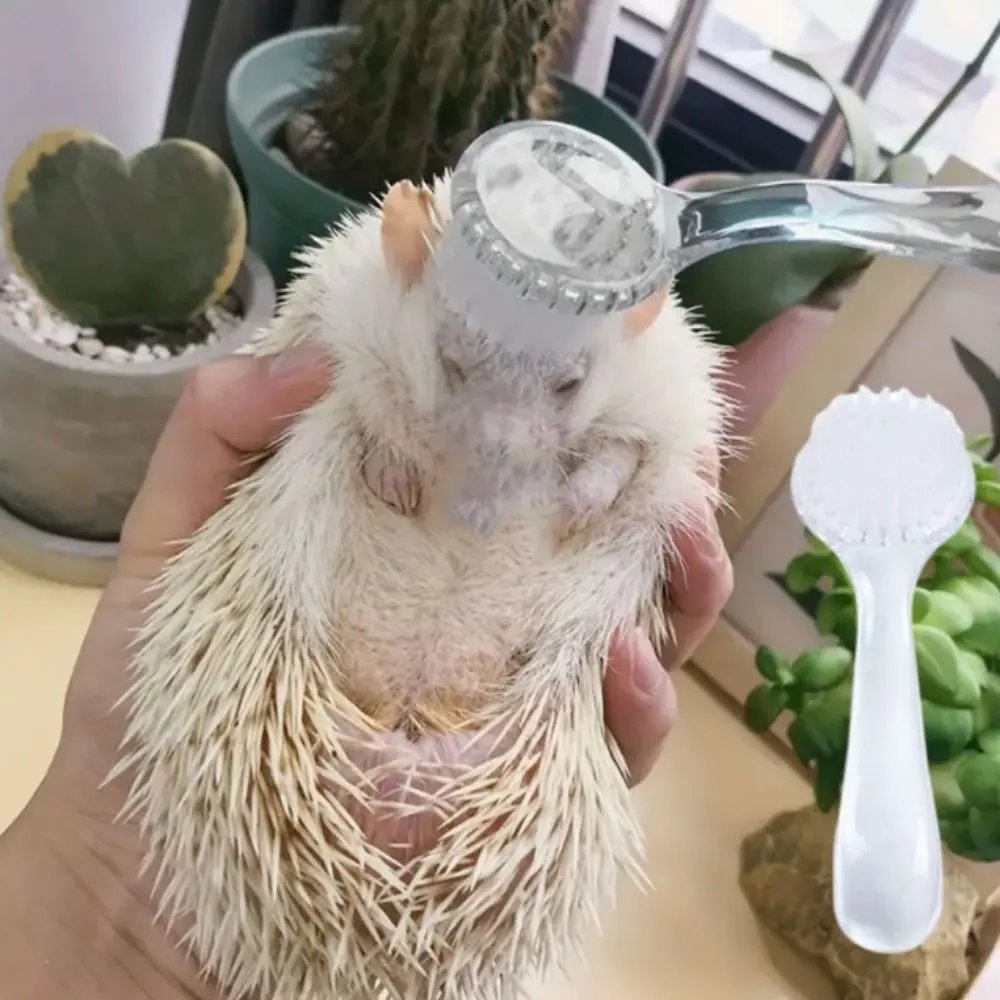 Soft Hair Brush Soft Small Hamster Brush Round Head Plastic Bear Cleaning Comb Long Hair Bath Mini Brush Hedgehog Bathing Brush For Hedgehog