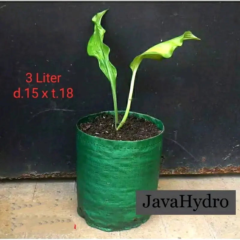 Planter Bag Easy Grow 3L Hijau 15x18cm Tebal Tanpa Handle 0