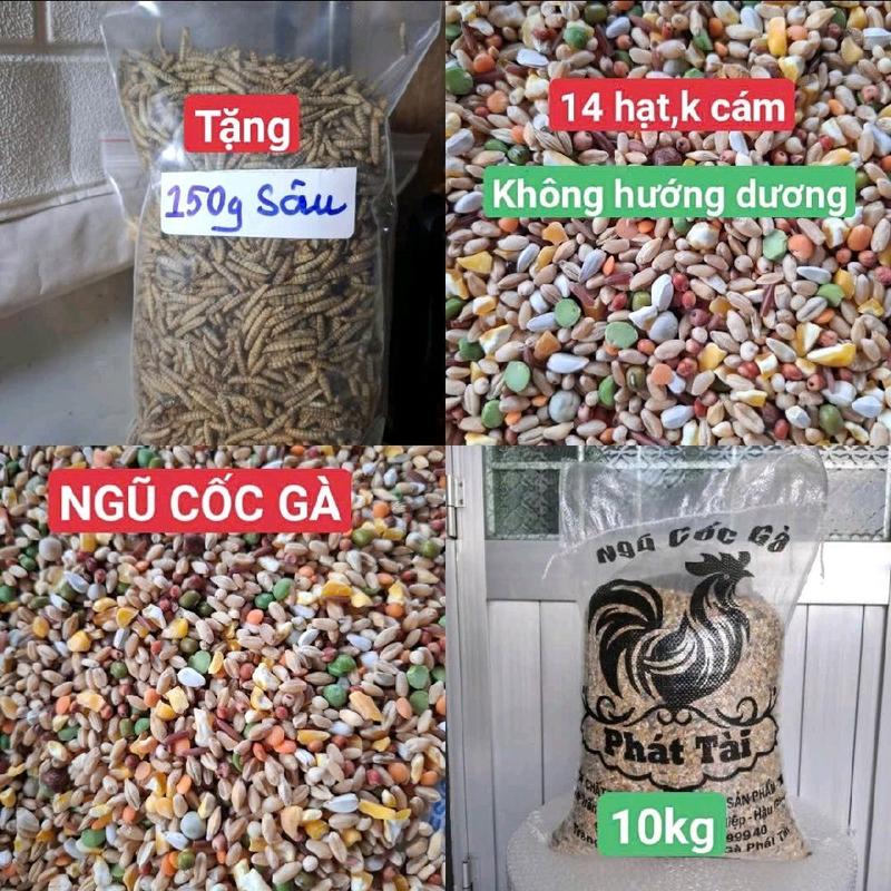 10KG NGŨ CỐC GÀ 14 HẠT,KHÔNG CÁM,KHÔNG HƯỚNG DƯƠNG TẶNG 150G SÂU CANXI