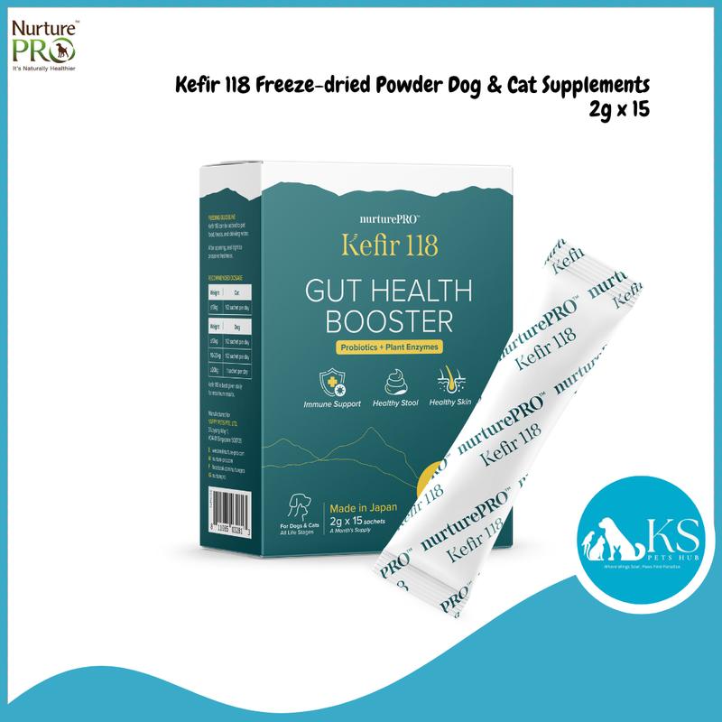 Can Cats Have Milk Kefir photo