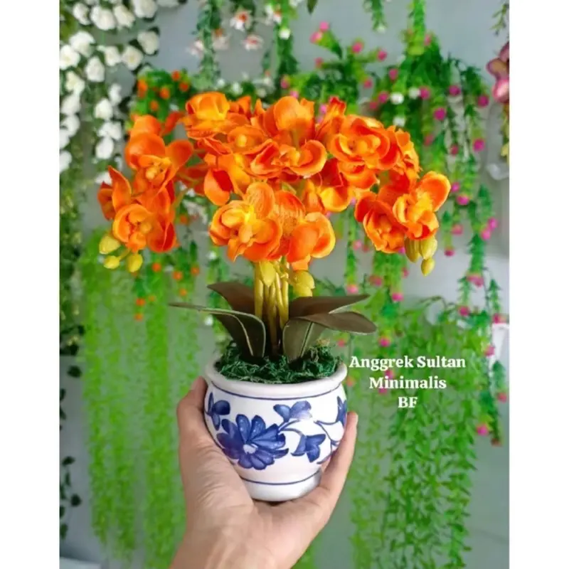 helga bundling Anggrek Bulan dan dendro pcs - Kualitas Tinggi dan Desain Estetis bunga anggrek 4