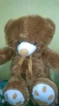 Product Review of boneka teddy bear syal telapak 75cm from A**a s**r 1