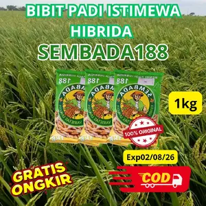 Sembada 188 Benih Padi Hibrida Unggul 1 Kg EXP02/08/26  Potensi Hasil 13 Ton Ha Kualitas Nasi Pulen Dan Enak