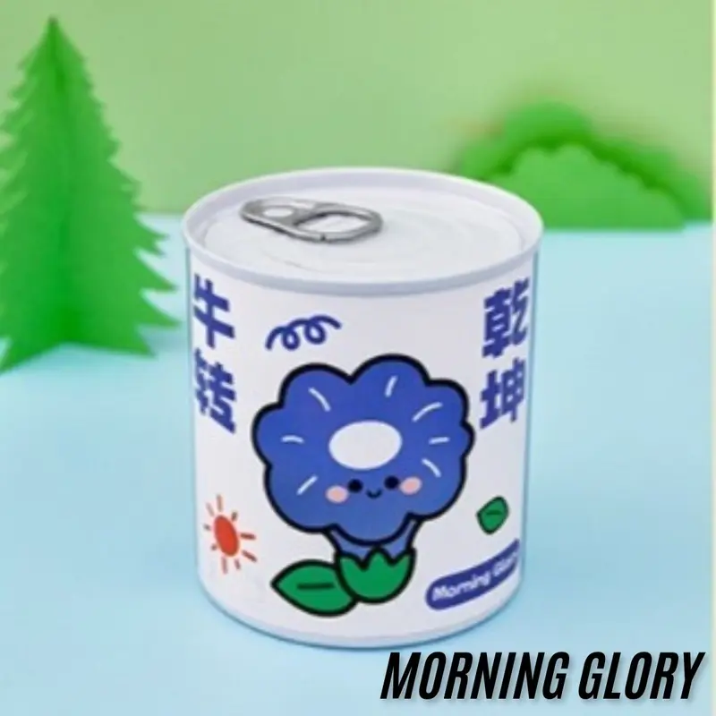 Tanaman Pot Mini Asli / Mini Potted Plant 5