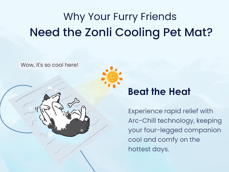 Product Introduction of Vagascape Dog Cooling Eco-friendly Mat, Cooling Pad, Pet Cool Mats for Dogs and Cats use in Crate, Tunk, Camping, Outdoors, Portable, Machine Washable, Durable, Without Gel 2