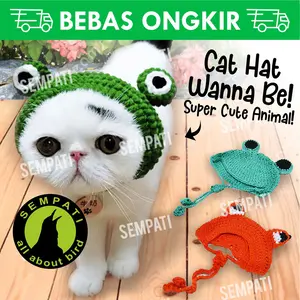SEMPATI Topi kucing rajut motif kodok fox super cute mainan kucing baju kucing