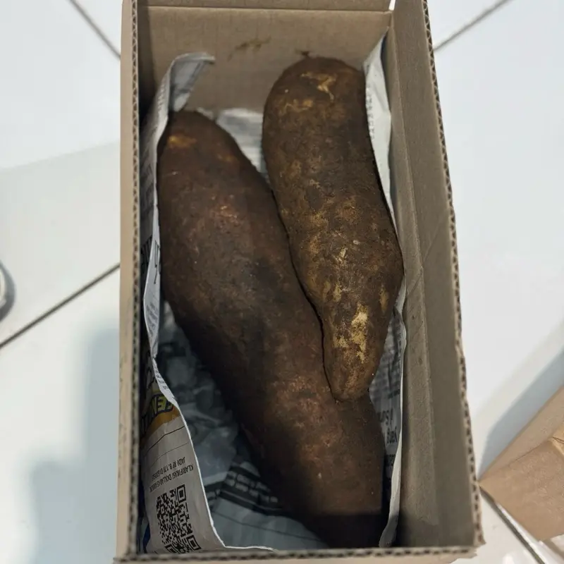 Ubi Yacon Asli Wonosobo SUPER (stok terbatas) 7