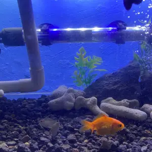 Heater ROSSTON KANDILA 25W 100W 150W 75W 50W kaca pemanas pengatur suhu aquarium aquascape