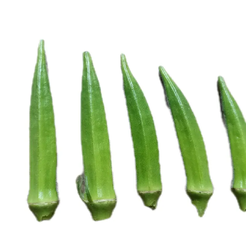SAYUR OKRA HIJAU SEGAR GRADE A 3KG PROMO - Shop | Tokopedia