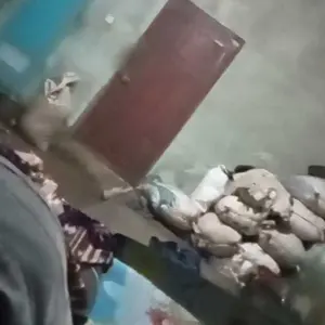 Paket Lepek Kopi Isi 12pcs Alas Kopi dan Piring Kopi - Kitchenware