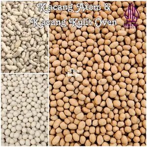 KACANG SANGHAI SUKRO GANGSAR KACANG KULIT OVEN | 500gr / 250gr | Snack Cemilan Camilan Kiloan Murah