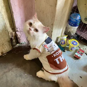 Baju Kucing Anjing Lucu Cowok Cewek Murah - THR Saku Tank