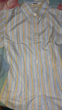 Product Review of Wispie Girl Boss Fitted Shirt | Kemeja kerja wanita fit garis stripe karet Lembut pink hijau biru from m**w 3