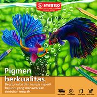 Gambar STABILO Swans ARTY Colored Pencils / Pensil Warna STABILO Set Lengkap Isi 100 dari STABILO INDONESIA Kota Administrasi Jakarta Barat 3 Tokopedia