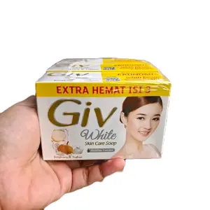 PAKET 6 pcs Sabun Giv Batang 100 gram