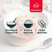 Gambar OATSY Muesli Tropical Fruit 500g dari Oatsy Oatmeal & Muesli Kota Administrasi Jakarta Barat 3 Tokopedia