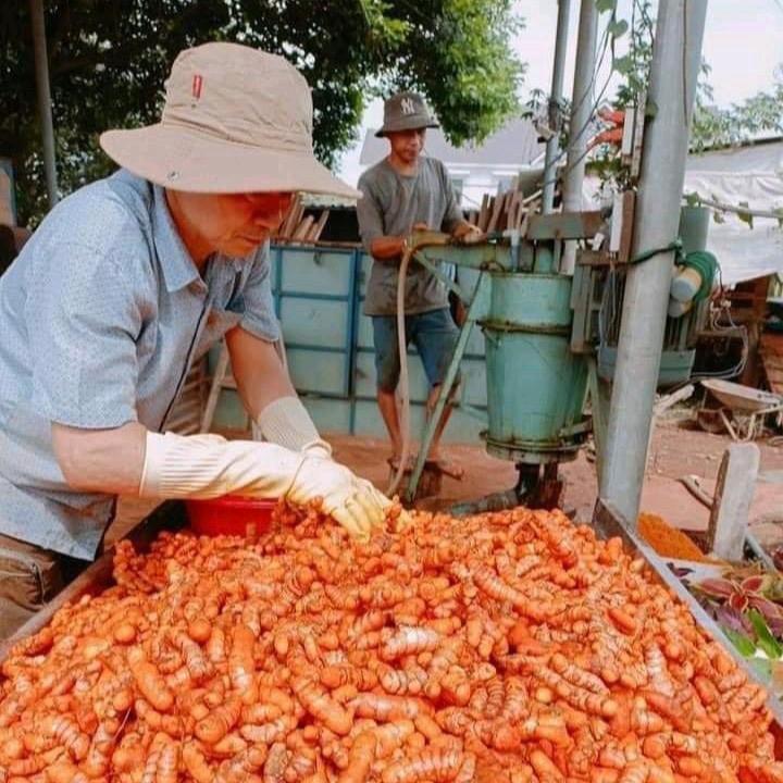 5kg Bột Nghệ Nguyên Chất Trang Phạm 4
