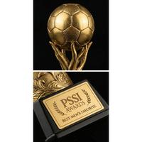 Gambar PSSI Awards Trophy Replica + Box dari Garuda Official Store Kota Administrasi Jakarta Utara 3 Tokopedia