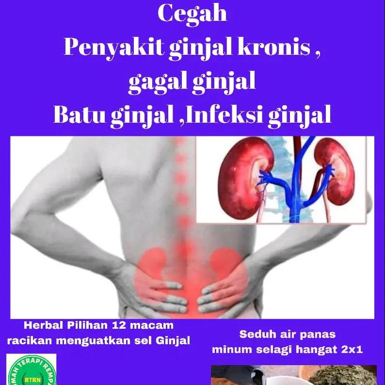 Teh herbal Ginjal , menguatkan sel Ginjal Ampuh