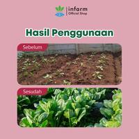 Gambar Infarm POC Sayuran Daun 1L, Pupuk Organik Cair Siap Pakai, Nutrisi 100% Organik untuk 500 Liter, Meningkatkan Kesuburan & Produktivitas Tanaman dari Infarm Kota Surabaya 5 Tokopedia