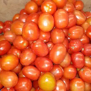 Tomat Segar Fresh 1kg - Bahan Makanan Segar untuk Masakan