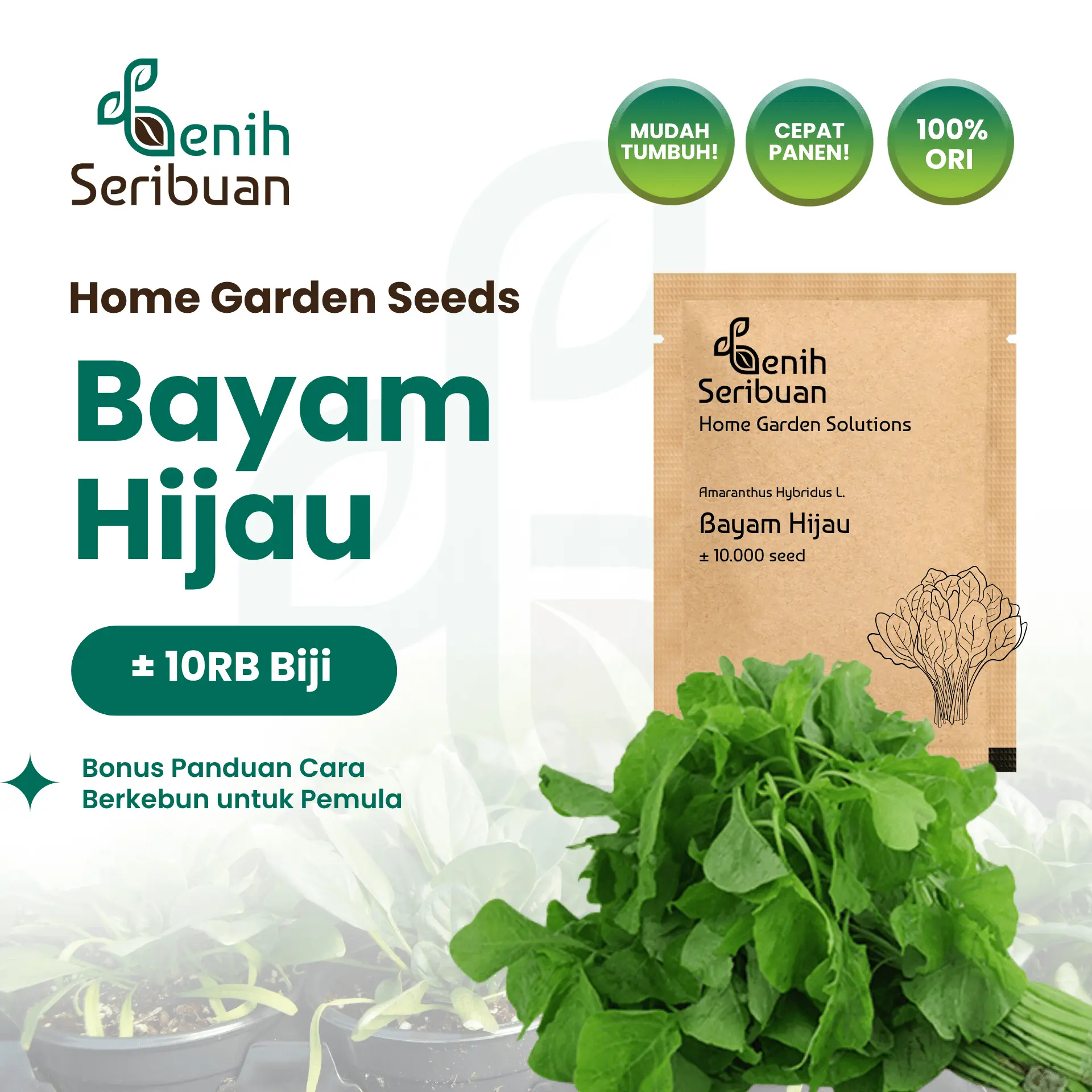 Benih Bayam Hijau - Benih Sayuran Seribuan