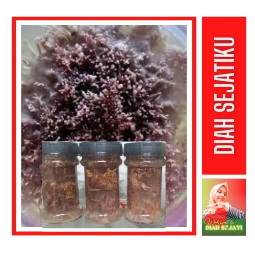 Pupuk Organik JAKABA Biang Jamur Keberuntungan Abadi 150ml untuk Pertumbuhan Tanaman - Bambu