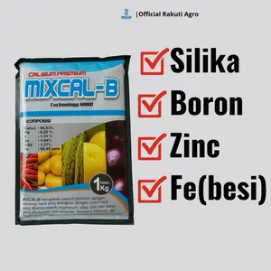 Kalsium Boron Silika MIXCAL B  - Pupuk Calcium Tanaman Pencegah Rontok Buah dan Tahan Penyakit Ada Boron, Silika, Zinc dan Fe Besi