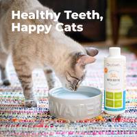 Gambar Oxyfresh Pet Water Additive 473ml - Antiseptik Gigi dan Mulut Hewan dari Oxyfresh Pet Kota Tangerang Selatan 5 Tokopedia