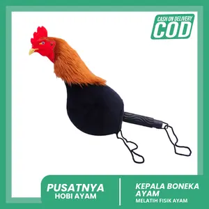 KEPALA BONEKA AYAM/ ALAT LATIH FISIK AYAM/ KEPALA BONEKA/ BONEKA AYAM BANGKOK BONEKA AYAM ADUAN MURAH