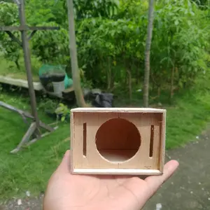 aray 2 inch, triplek 3 mm