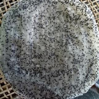 Bánh Tráng Nướng Mè Đen Tây Ninh 10 cái bánh dầy