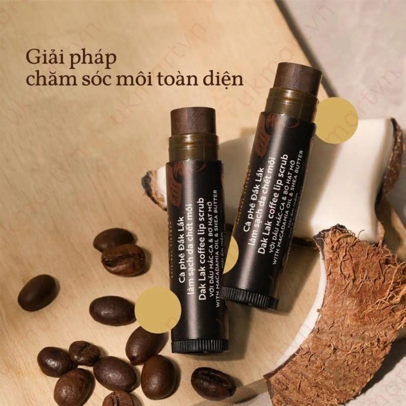 niceoneno.1 Tẩy da chết môi cà phê Đắk Lắk Cocoon môi ẩm mềm 5g