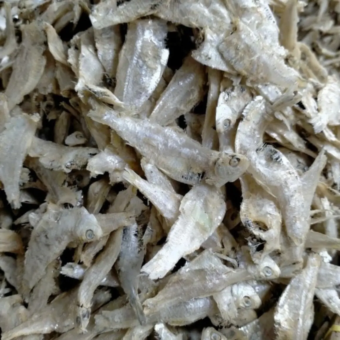 Ikan Asin Sampah Medan / Ikan Asin Sepoh Food Makanan Seafood