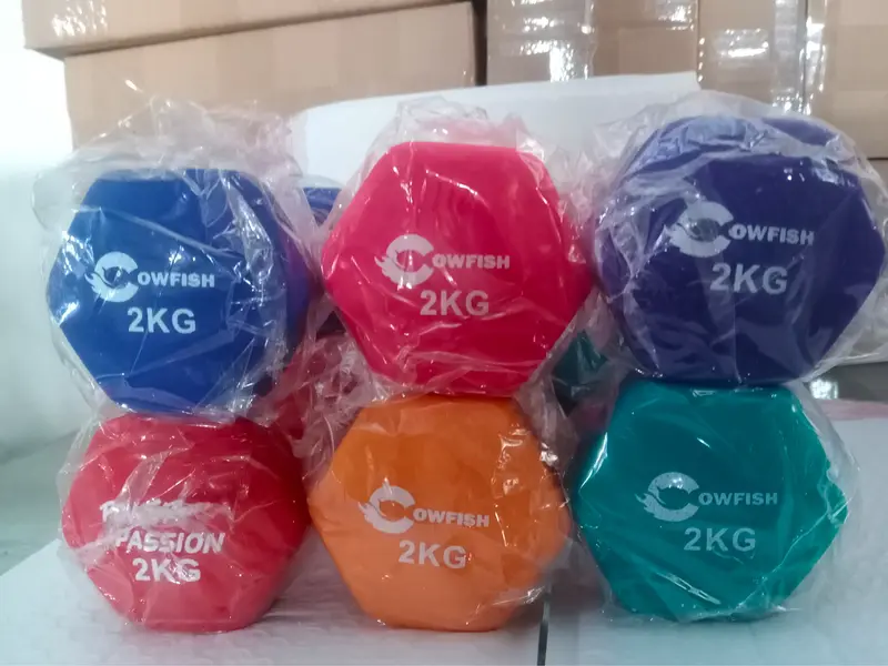 DUMBELL BARBEL 2 KG Vinty isi 1 pcs cewek & cowok gym Neoprene barbel mini Otot 0