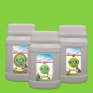 Kaytee Bubur Lolohan Burung Falk Macaw African Grey