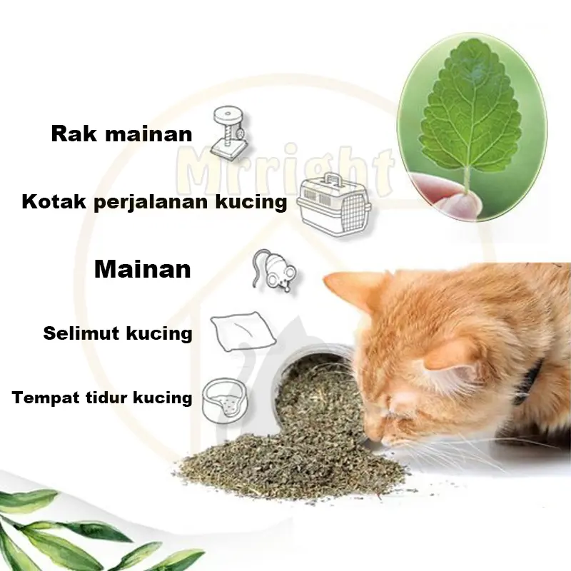 FOLOPETS Mainan Kucing Obat Catmint Penenang Serbuk Rumput Kering Cat nip Mint Stres Murah 3