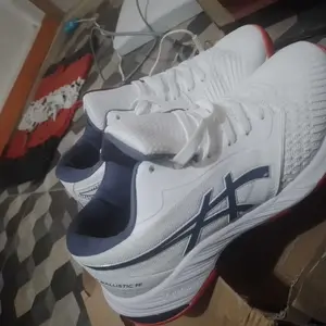 sepatu voli wanita super premium import vietnam sepatu Volley berdecit