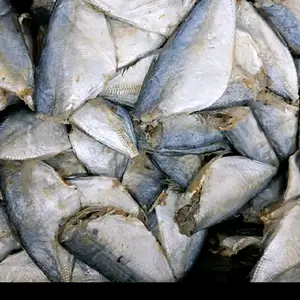 ikan asin peda buntung fresh