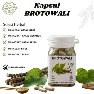 Kapsul Brotowali Original Gatal Kulit Eksim Alergi Biduran Herbal Isi 50